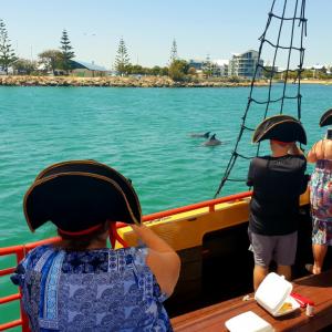 Viewing dolphins on the lunch cruise