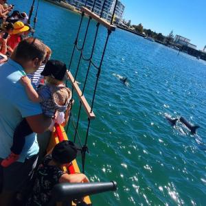 Pirate Ship Mandurah dolphin spotting